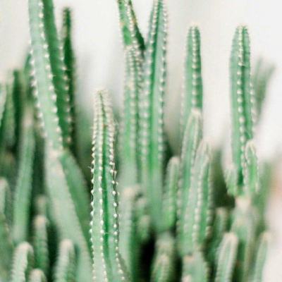 皇冠·app手机app下载